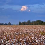 Mississippi revisited (c)Raphael Tenschert_2